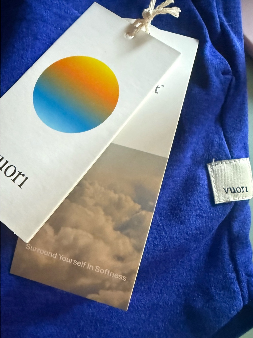 NWT! Vuori Copenhagen Blue Drawstring Athletic Shorts - Picture 3 of 3